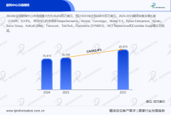 跟着对数据出境、现私取系统平安的监管日益